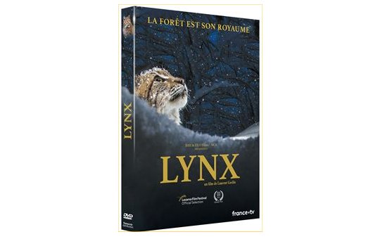 DVD Lynx