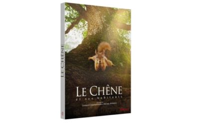 DVD / BR Le Chêne et ses habitants